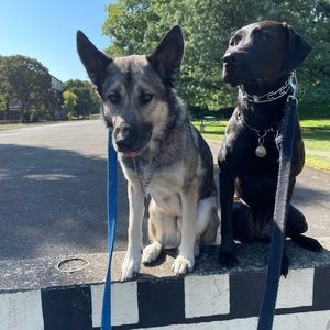 Meet your Posher, Sierra